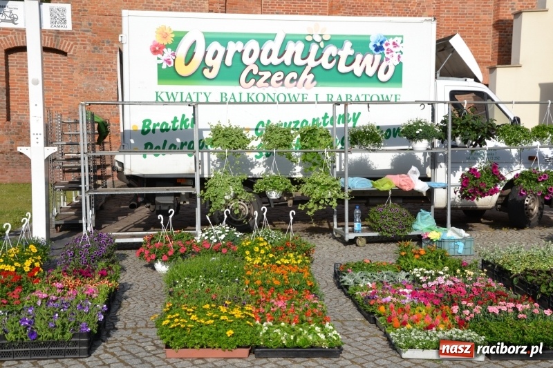 Zdjęcie w galerii na portalu naszraciborz.pl: Na zamku ruszył IV Jarmark Kwiatów  wiadomości z regionu
