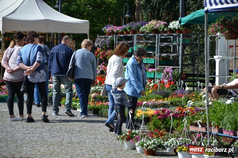 Zdjęcie w galerii na portalu naszraciborz.pl: Na zamku ruszył IV Jarmark Kwiatów  wiadomości z regionu