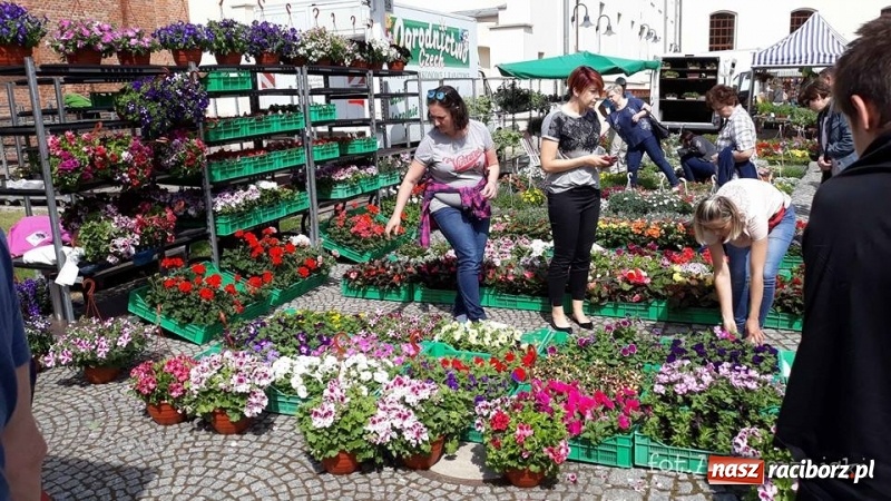 Zdjęcie w galerii na portalu naszraciborz.pl: Na zamku ruszył IV Jarmark Kwiatów  wiadomości z regionu