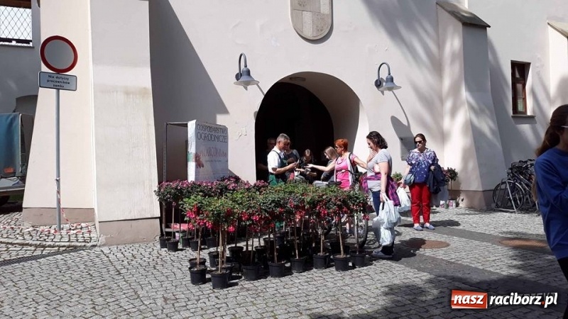 Zdjęcie w galerii na portalu naszraciborz.pl: Na zamku ruszył IV Jarmark Kwiatów  wiadomości z regionu