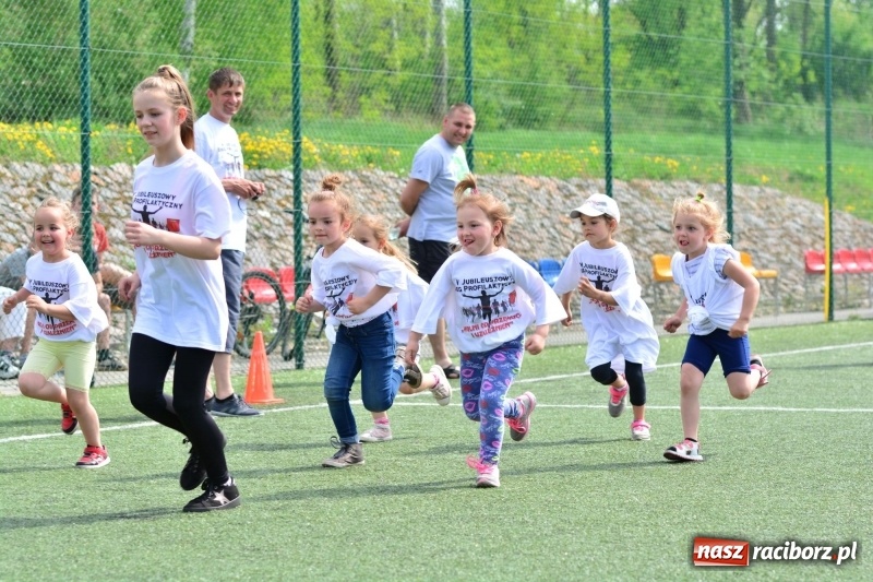 Zdjęcie w galerii na portalu naszraciborz.pl: Rozbiegane Krzanowice. V Bieg Profilaktyczny  wiadomości z regionu