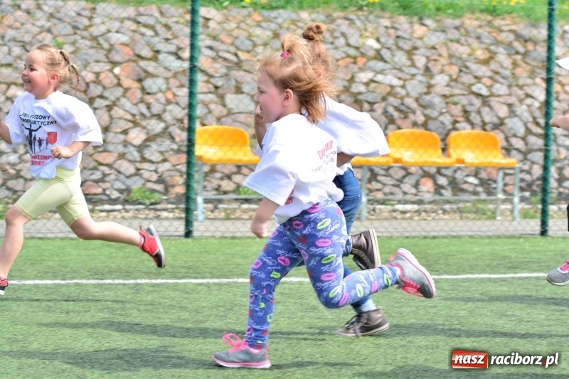 Zdjęcie w galerii na portalu naszraciborz.pl: Rozbiegane Krzanowice. V Bieg Profilaktyczny  wiadomości z regionu