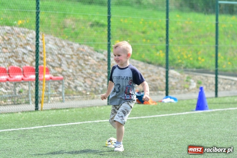 Zdjęcie w galerii na portalu naszraciborz.pl: Rozbiegane Krzanowice. V Bieg Profilaktyczny  wiadomości z regionu