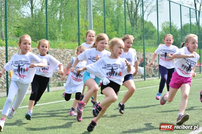 Zdjęcie w galerii na portalu naszraciborz.pl: Rozbiegane Krzanowice. V Bieg Profilaktyczny  wiadomości z regionu