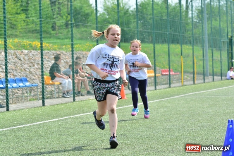 Zdjęcie w galerii na portalu naszraciborz.pl: Rozbiegane Krzanowice. V Bieg Profilaktyczny  wiadomości z regionu