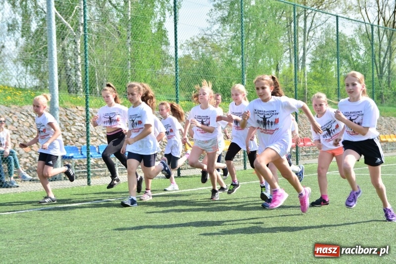 Zdjęcie w galerii na portalu naszraciborz.pl: Rozbiegane Krzanowice. V Bieg Profilaktyczny  wiadomości z regionu