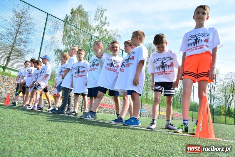 Zdjęcie w galerii na portalu naszraciborz.pl: Rozbiegane Krzanowice. V Bieg Profilaktyczny  wiadomości z regionu