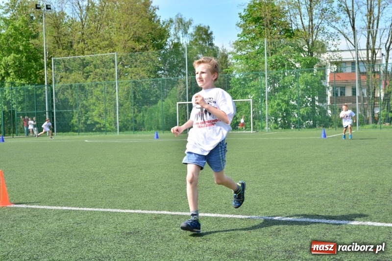 Zdjęcie w galerii na portalu naszraciborz.pl: Rozbiegane Krzanowice. V Bieg Profilaktyczny  wiadomości z regionu