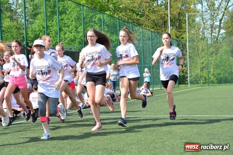 Zdjęcie w galerii na portalu naszraciborz.pl: Rozbiegane Krzanowice. V Bieg Profilaktyczny  wiadomości z regionu