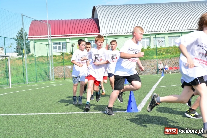 Zdjęcie w galerii na portalu naszraciborz.pl: Rozbiegane Krzanowice. V Bieg Profilaktyczny  wiadomości z regionu