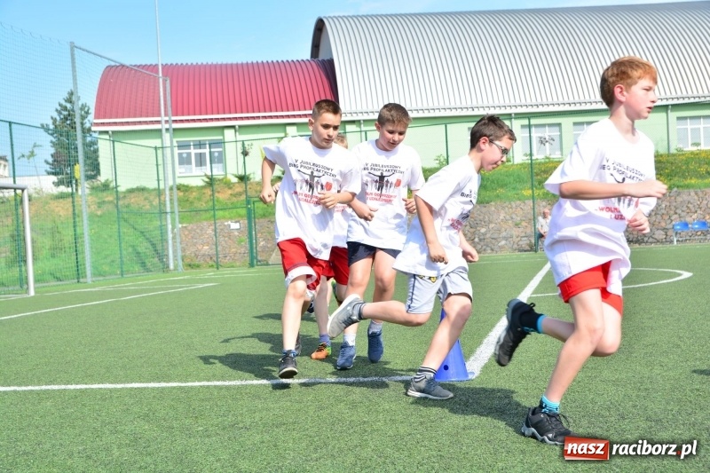 Zdjęcie w galerii na portalu naszraciborz.pl: Rozbiegane Krzanowice. V Bieg Profilaktyczny  wiadomości z regionu