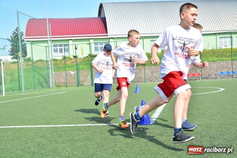 Zdjęcie w galerii na portalu naszraciborz.pl: Rozbiegane Krzanowice. V Bieg Profilaktyczny  wiadomości z regionu