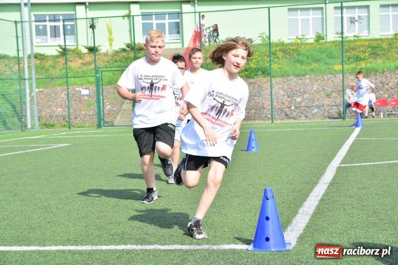 Zdjęcie w galerii na portalu naszraciborz.pl: Rozbiegane Krzanowice. V Bieg Profilaktyczny  wiadomości z regionu