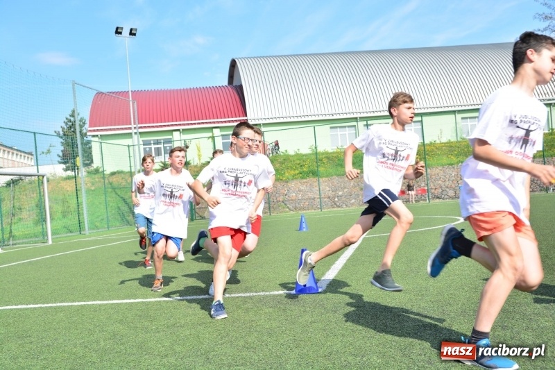 Zdjęcie w galerii na portalu naszraciborz.pl: Rozbiegane Krzanowice. V Bieg Profilaktyczny  wiadomości z regionu