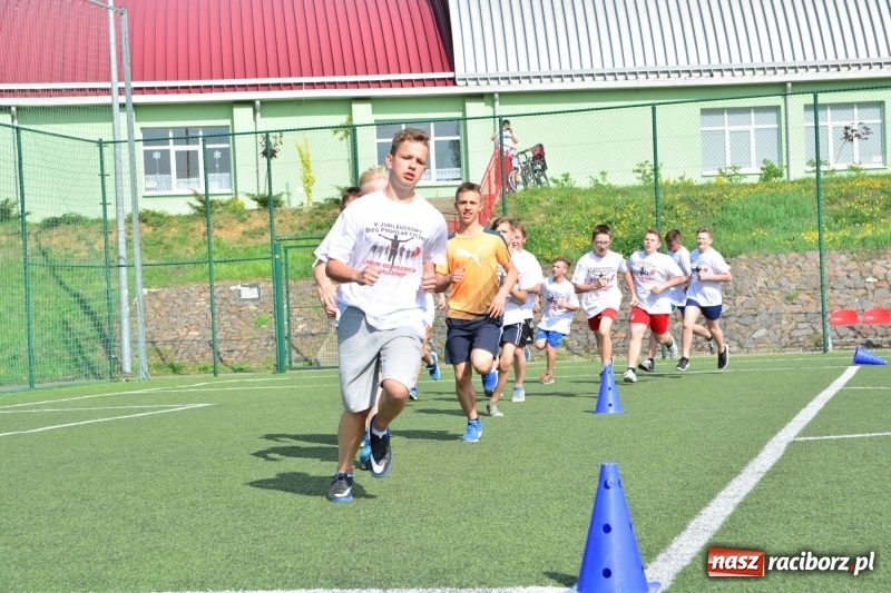 Zdjęcie w galerii na portalu naszraciborz.pl: Rozbiegane Krzanowice. V Bieg Profilaktyczny  wiadomości z regionu