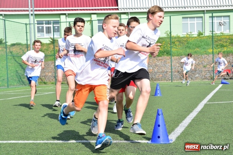 Zdjęcie w galerii na portalu naszraciborz.pl: Rozbiegane Krzanowice. V Bieg Profilaktyczny  wiadomości z regionu