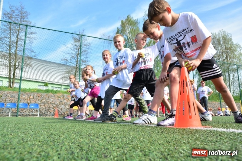Zdjęcie w galerii na portalu naszraciborz.pl: Rozbiegane Krzanowice. V Bieg Profilaktyczny  wiadomości z regionu