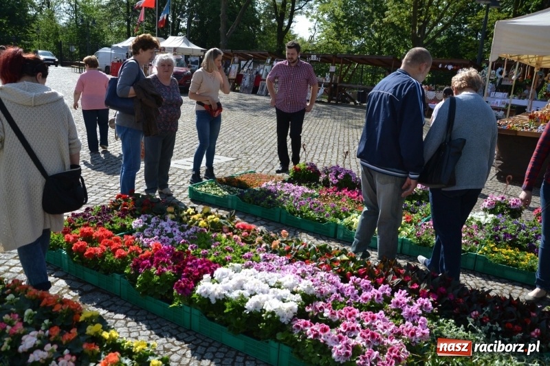 Zdjęcie w galerii na portalu naszraciborz.pl: Kwiaty, jadło, rękodzieło, folklor i statua wolności, czyli zamkowy jarmark różności  wiadomości z regionu