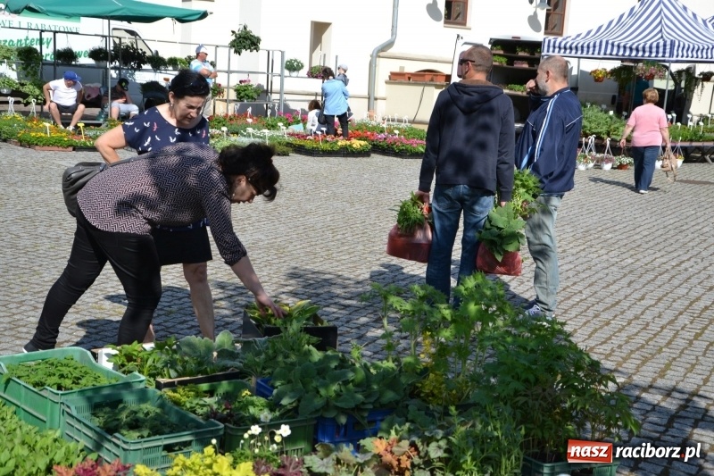 Zdjęcie w galerii na portalu naszraciborz.pl: Kwiaty, jadło, rękodzieło, folklor i statua wolności, czyli zamkowy jarmark różności  wiadomości z regionu