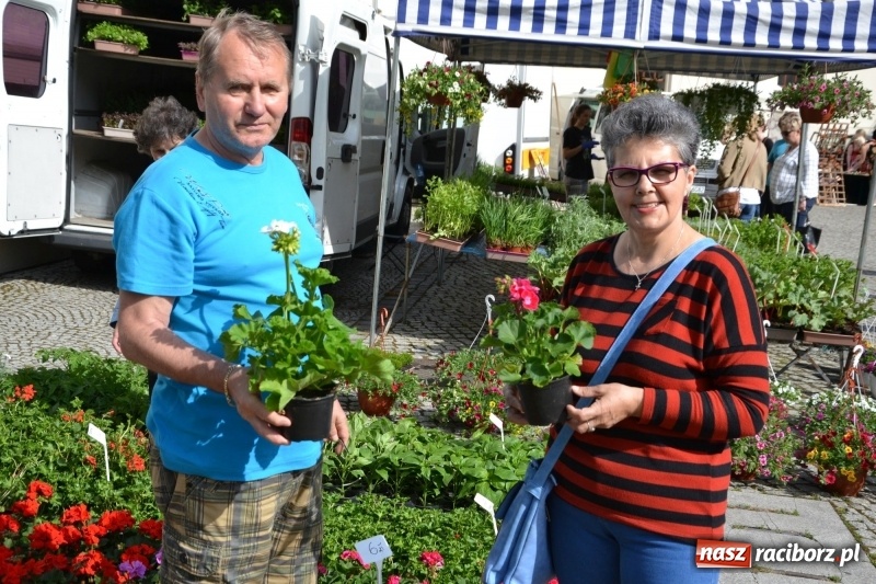 Zdjęcie w galerii na portalu naszraciborz.pl: Kwiaty, jadło, rękodzieło, folklor i statua wolności, czyli zamkowy jarmark różności  wiadomości z regionu