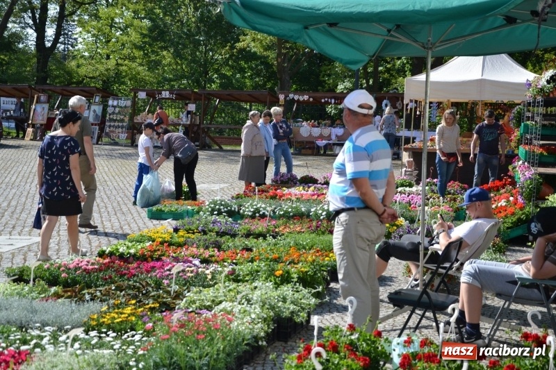 Zdjęcie w galerii na portalu naszraciborz.pl: Kwiaty, jadło, rękodzieło, folklor i statua wolności, czyli zamkowy jarmark różności  wiadomości z regionu