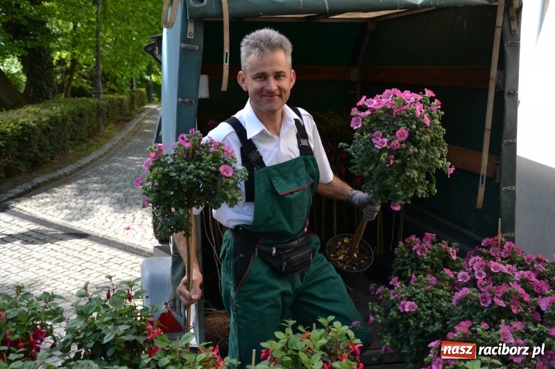 Zdjęcie w galerii na portalu naszraciborz.pl: Kwiaty, jadło, rękodzieło, folklor i statua wolności, czyli zamkowy jarmark różności  wiadomości z regionu