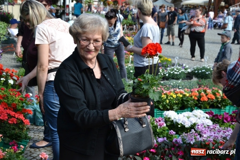 Zdjęcie w galerii na portalu naszraciborz.pl: Kwiaty, jadło, rękodzieło, folklor i statua wolności, czyli zamkowy jarmark różności  wiadomości z regionu