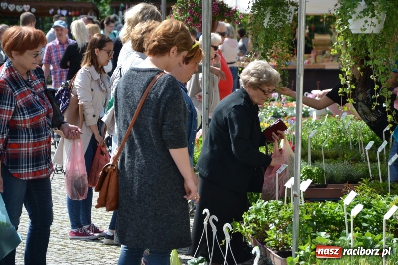 Zdjęcie w galerii na portalu naszraciborz.pl: Kwiaty, jadło, rękodzieło, folklor i statua wolności, czyli zamkowy jarmark różności  wiadomości z regionu