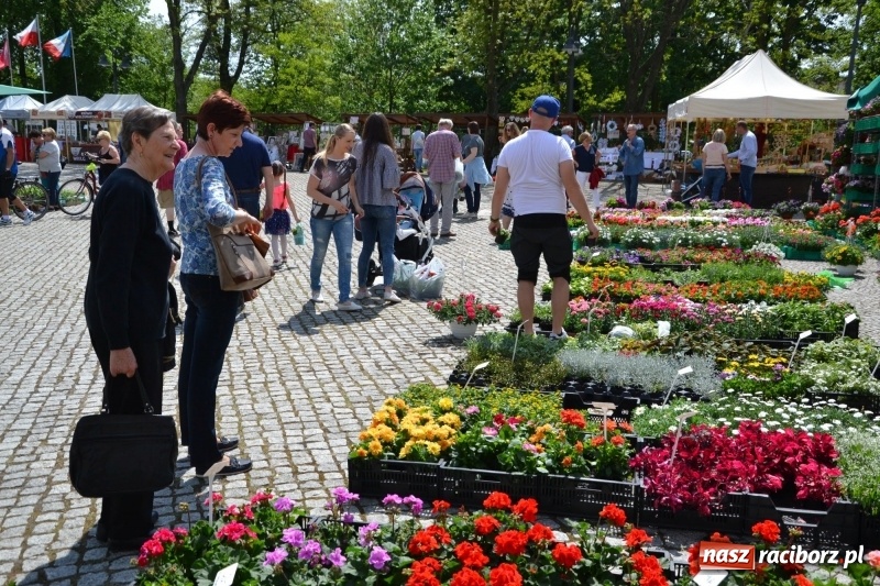 Zdjęcie w galerii na portalu naszraciborz.pl: Kwiaty, jadło, rękodzieło, folklor i statua wolności, czyli zamkowy jarmark różności  wiadomości z regionu
