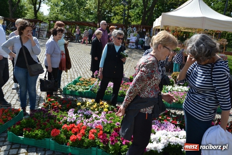 Zdjęcie w galerii na portalu naszraciborz.pl: Kwiaty, jadło, rękodzieło, folklor i statua wolności, czyli zamkowy jarmark różności  wiadomości z regionu