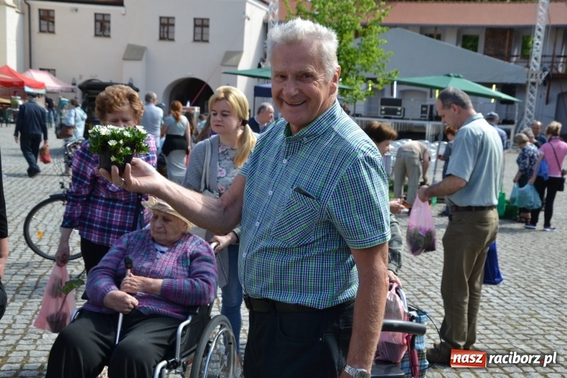 Zdjęcie w galerii na portalu naszraciborz.pl: Kwiaty, jadło, rękodzieło, folklor i statua wolności, czyli zamkowy jarmark różności  wiadomości z regionu