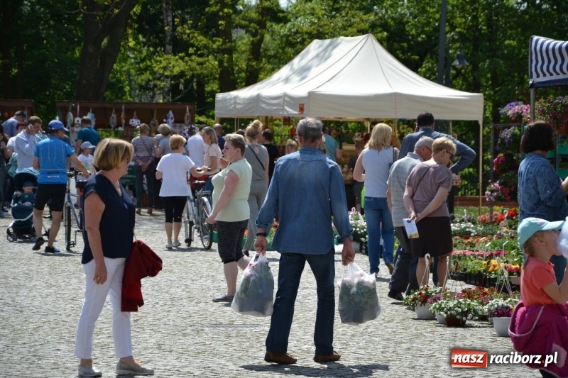 Zdjęcie w galerii na portalu naszraciborz.pl: Kwiaty, jadło, rękodzieło, folklor i statua wolności, czyli zamkowy jarmark różności  wiadomości z regionu