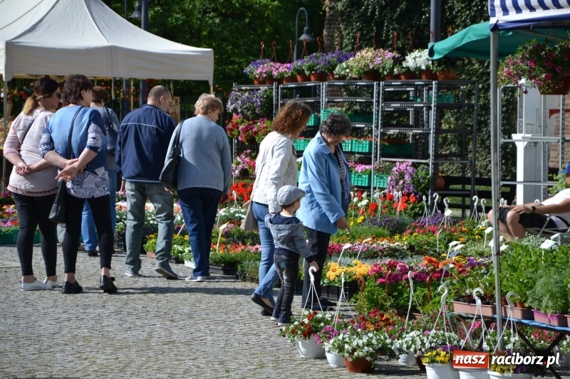 Zdjęcie w galerii na portalu naszraciborz.pl: Kwiaty, jadło, rękodzieło, folklor i statua wolności, czyli zamkowy jarmark różności  wiadomości z regionu