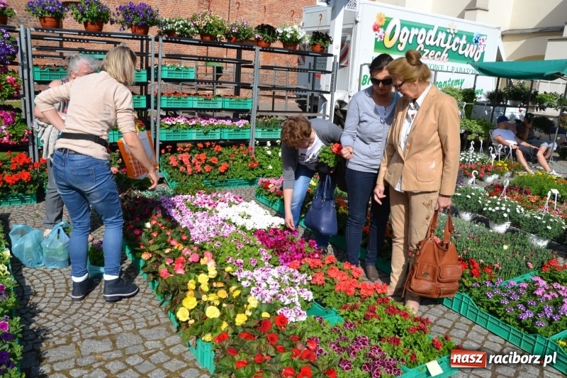 Zdjęcie w galerii na portalu naszraciborz.pl: Kwiaty, jadło, rękodzieło, folklor i statua wolności, czyli zamkowy jarmark różności  wiadomości z regionu