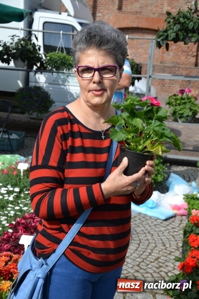 Zdjęcie w galerii na portalu naszraciborz.pl: Kwiaty, jadło, rękodzieło, folklor i statua wolności, czyli zamkowy jarmark różności  wiadomości z regionu