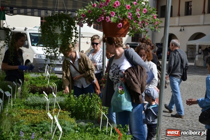 Zdjęcie w galerii na portalu naszraciborz.pl: Kwiaty, jadło, rękodzieło, folklor i statua wolności, czyli zamkowy jarmark różności  wiadomości z regionu