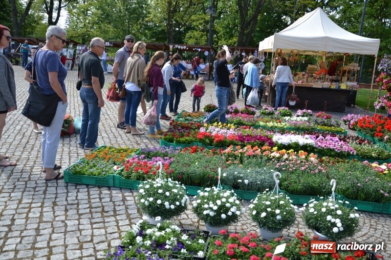 Zdjęcie w galerii na portalu naszraciborz.pl: Kwiaty, jadło, rękodzieło, folklor i statua wolności, czyli zamkowy jarmark różności  wiadomości z regionu