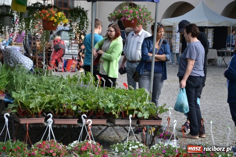 Zdjęcie w galerii na portalu naszraciborz.pl: Kwiaty, jadło, rękodzieło, folklor i statua wolności, czyli zamkowy jarmark różności  wiadomości z regionu