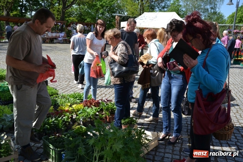 Zdjęcie w galerii na portalu naszraciborz.pl: Kwiaty, jadło, rękodzieło, folklor i statua wolności, czyli zamkowy jarmark różności  wiadomości z regionu