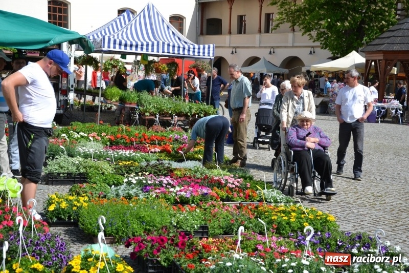 Zdjęcie w galerii na portalu naszraciborz.pl: Kwiaty, jadło, rękodzieło, folklor i statua wolności, czyli zamkowy jarmark różności  wiadomości z regionu