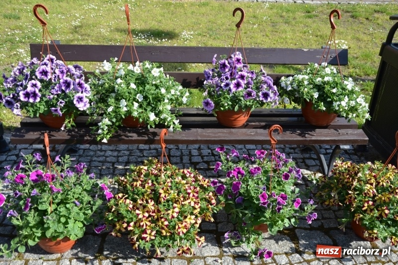 Zdjęcie w galerii na portalu naszraciborz.pl: Kwiaty, jadło, rękodzieło, folklor i statua wolności, czyli zamkowy jarmark różności  wiadomości z regionu