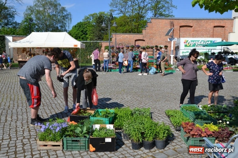 Zdjęcie w galerii na portalu naszraciborz.pl: Kwiaty, jadło, rękodzieło, folklor i statua wolności, czyli zamkowy jarmark różności  wiadomości z regionu