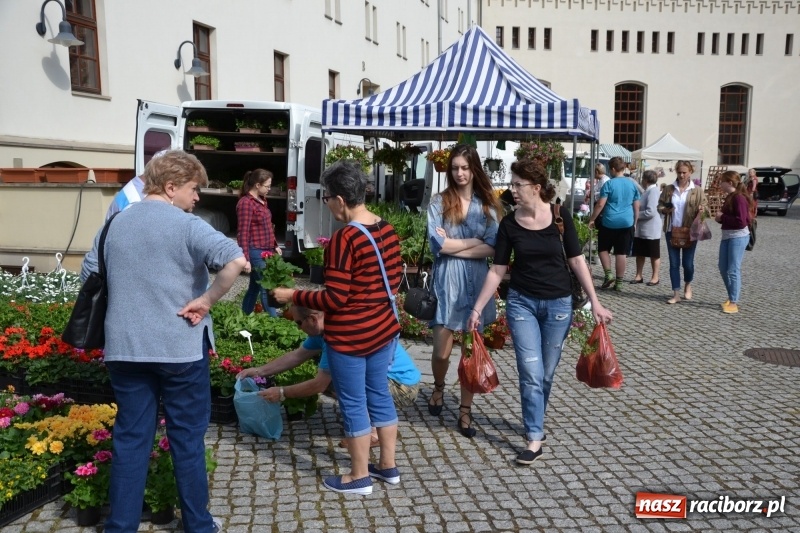 Zdjęcie w galerii na portalu naszraciborz.pl: Kwiaty, jadło, rękodzieło, folklor i statua wolności, czyli zamkowy jarmark różności  wiadomości z regionu