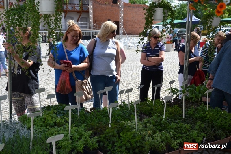 Zdjęcie w galerii na portalu naszraciborz.pl: Kwiaty, jadło, rękodzieło, folklor i statua wolności, czyli zamkowy jarmark różności  wiadomości z regionu