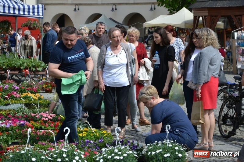 Zdjęcie w galerii na portalu naszraciborz.pl: Kwiaty, jadło, rękodzieło, folklor i statua wolności, czyli zamkowy jarmark różności  wiadomości z regionu