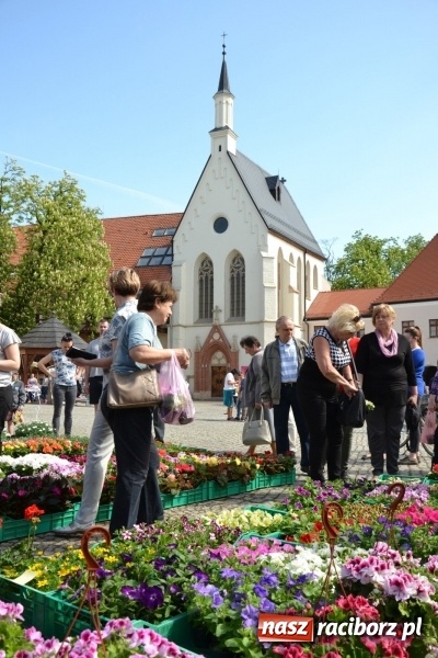 Zdjęcie w galerii na portalu naszraciborz.pl: Kwiaty, jadło, rękodzieło, folklor i statua wolności, czyli zamkowy jarmark różności  wiadomości z regionu