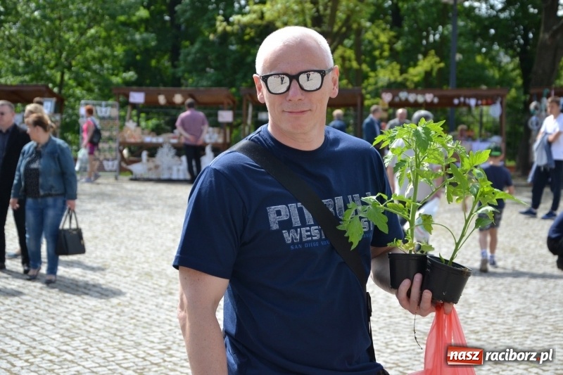 Zdjęcie w galerii na portalu naszraciborz.pl: Kwiaty, jadło, rękodzieło, folklor i statua wolności, czyli zamkowy jarmark różności  wiadomości z regionu