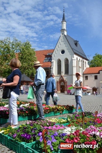 Zdjęcie w galerii na portalu naszraciborz.pl: Kwiaty, jadło, rękodzieło, folklor i statua wolności, czyli zamkowy jarmark różności  wiadomości z regionu