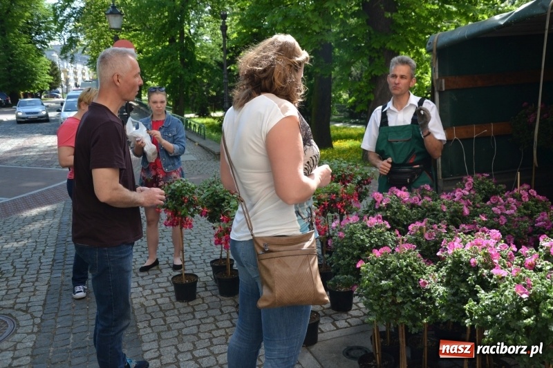 Zdjęcie w galerii na portalu naszraciborz.pl: Kwiaty, jadło, rękodzieło, folklor i statua wolności, czyli zamkowy jarmark różności  wiadomości z regionu