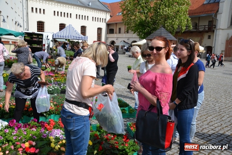 Zdjęcie w galerii na portalu naszraciborz.pl: Kwiaty, jadło, rękodzieło, folklor i statua wolności, czyli zamkowy jarmark różności  wiadomości z regionu